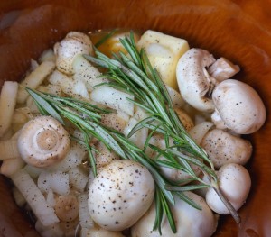 slow cooker cream of mushroom soup